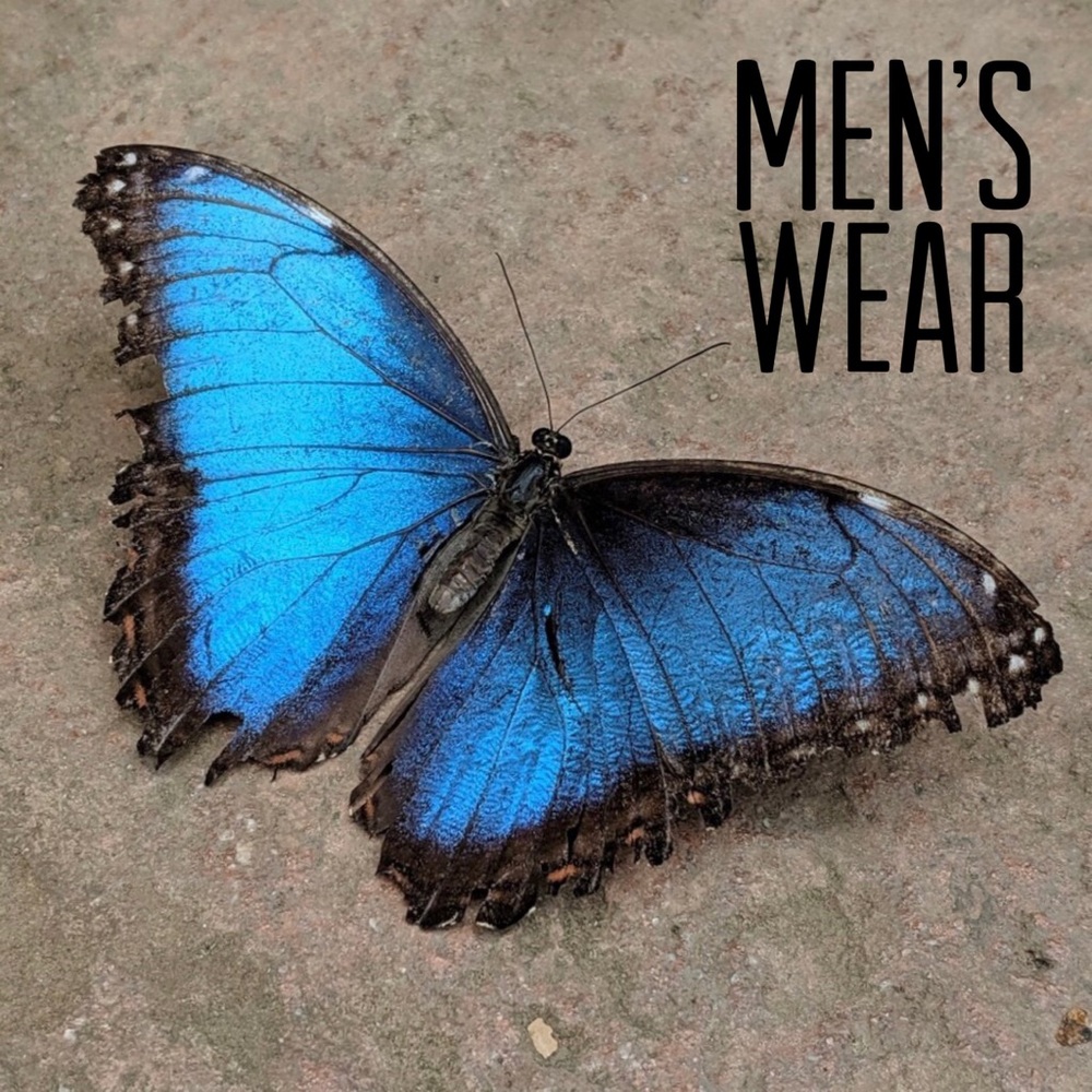 Mens Wear Starts Here - Picture 1 of 1